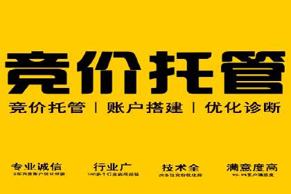 百度SEO推广案例解析与效果评估